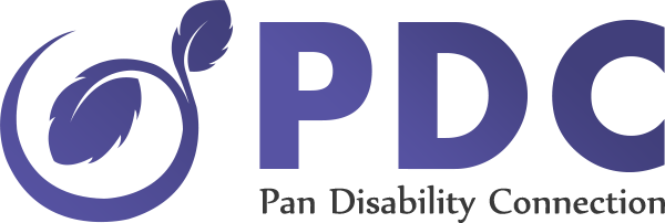Pan Disability Connection